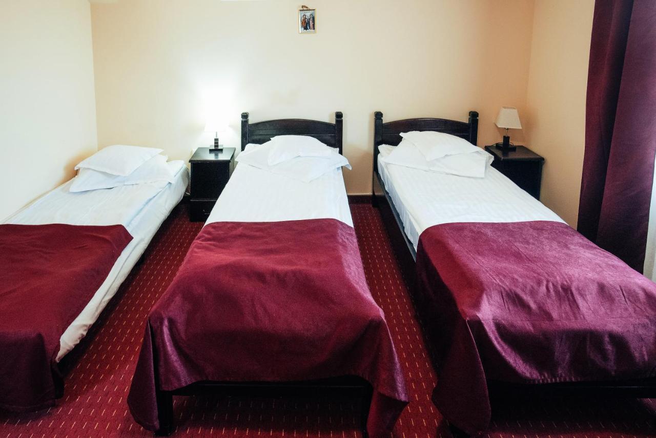 Hotel Casa Rubin à Gura Humorului Extérieur photo